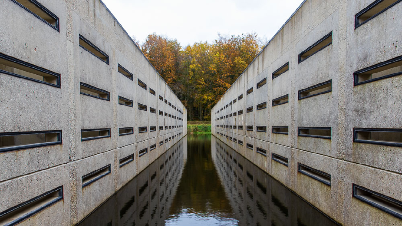 drone video gemaakt door flightmedia van het Waterloopbos Marknesse